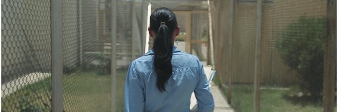 Kimberley Motley - The views expressed I own. :-) banner