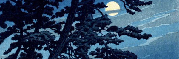 lisatomic5 Profile Banner