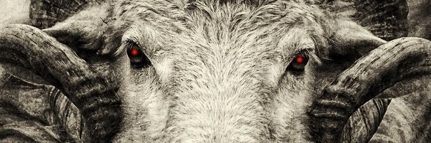 Zkings14's profile banner image