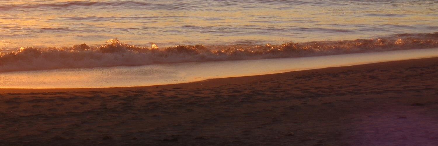 Chris Gahlsdorf banner