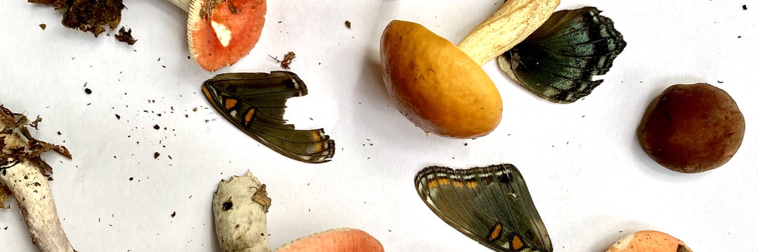TheBotanicalMo1's profile banner image