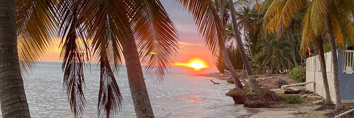 liznnette's profile banner image