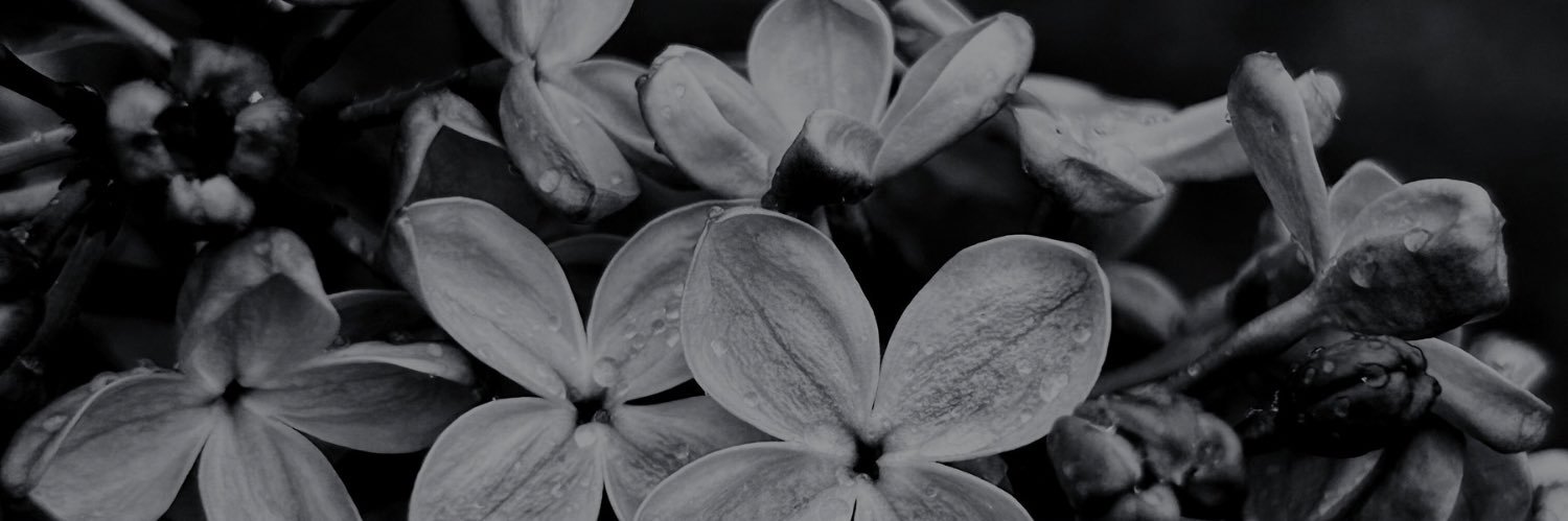 W❍lf's banner