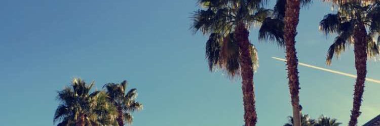 GabbyCalhoun11's profile banner image