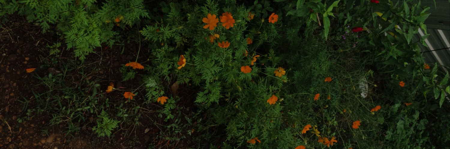 ranny_lopes's profile banner image
