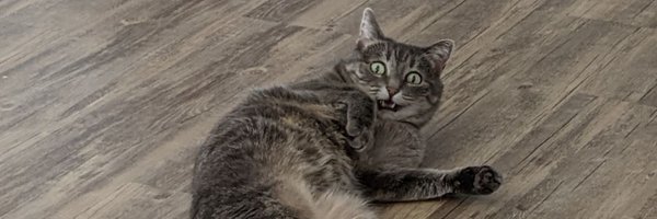 p_grump Profile Banner