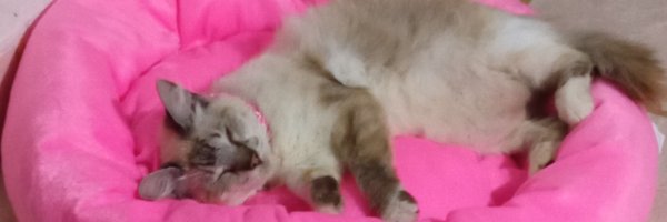 sharacrx Profile Banner