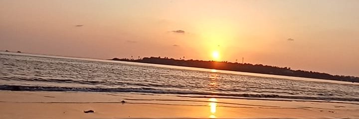 Shefali__K's profile banner image