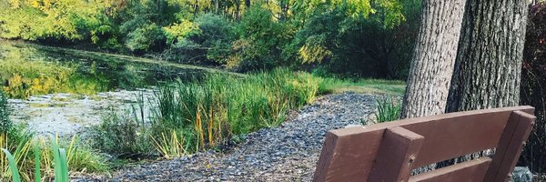 ShruthiSureshMD Profile Banner