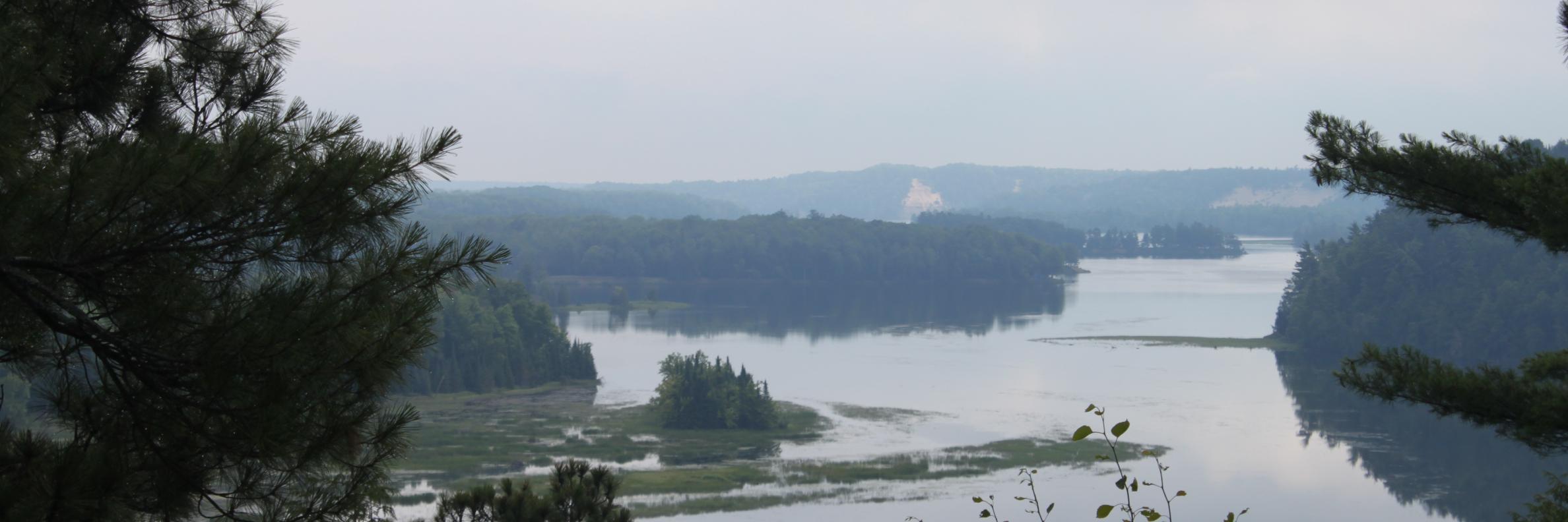 Christy Landefeld banner