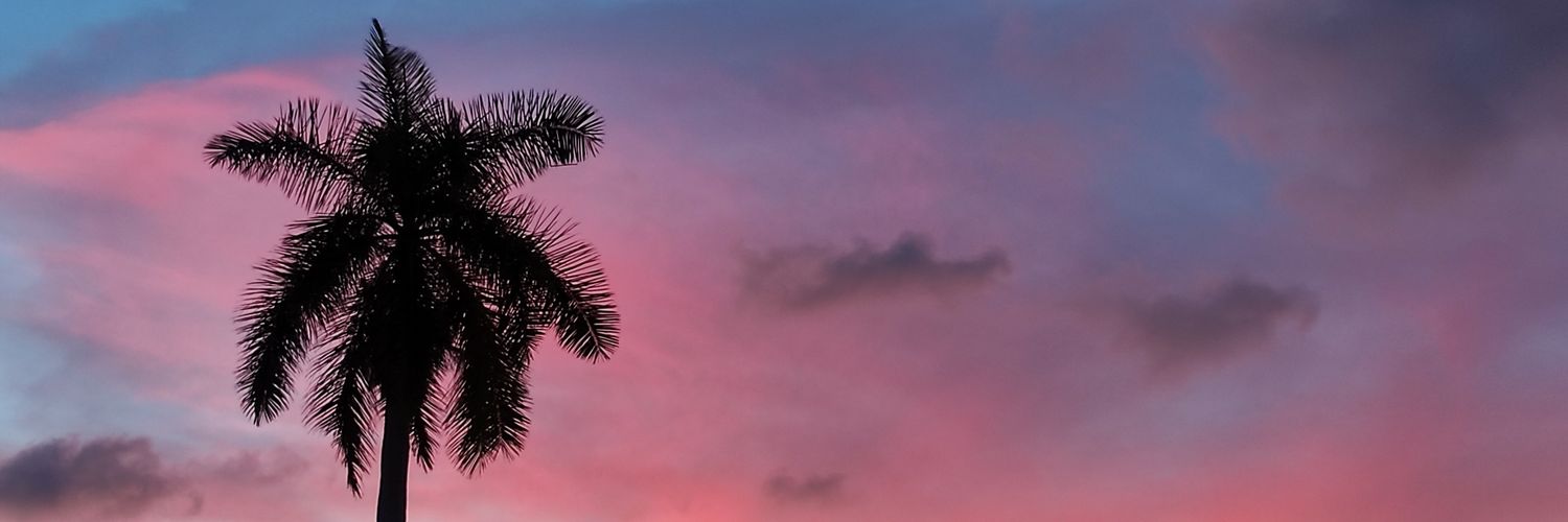ninastronauta's profile banner image