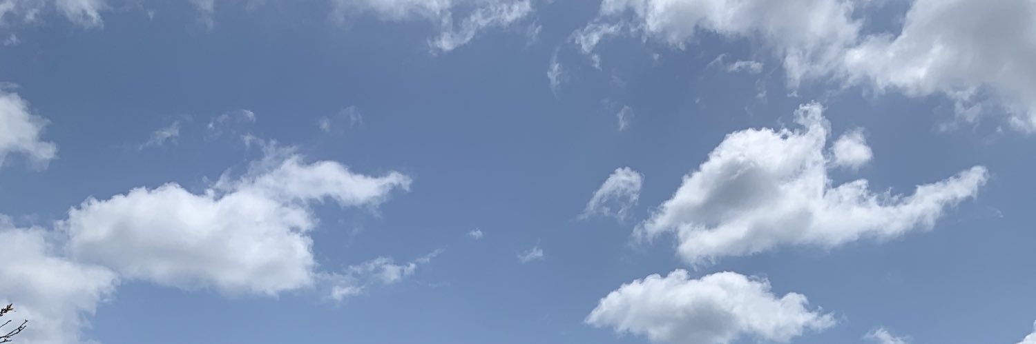 PinetailYu's profile banner image