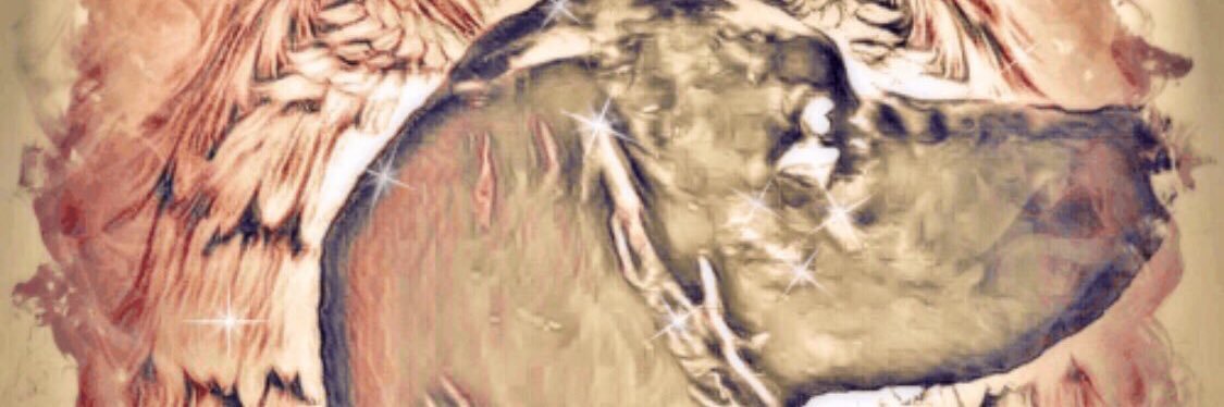 Gwar56's profile banner image