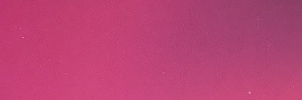 yungmina_acnh Profile Banner