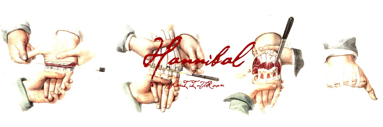 LionIsInTheRoom's profile banner image