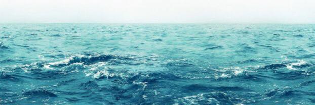 cindyj__'s profile banner image