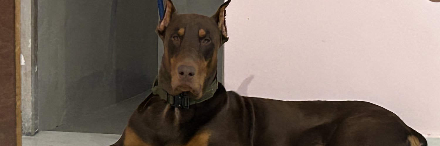 uptoupdated's profile banner image