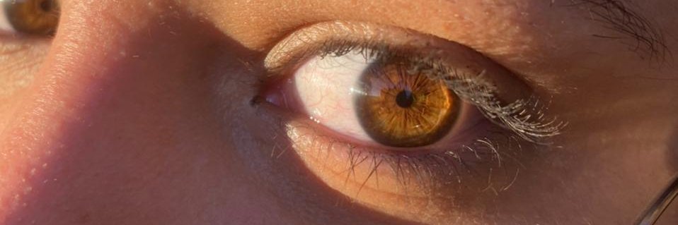 fernanndahellen's profile banner image