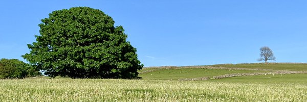 letsgopeaks Profile Banner