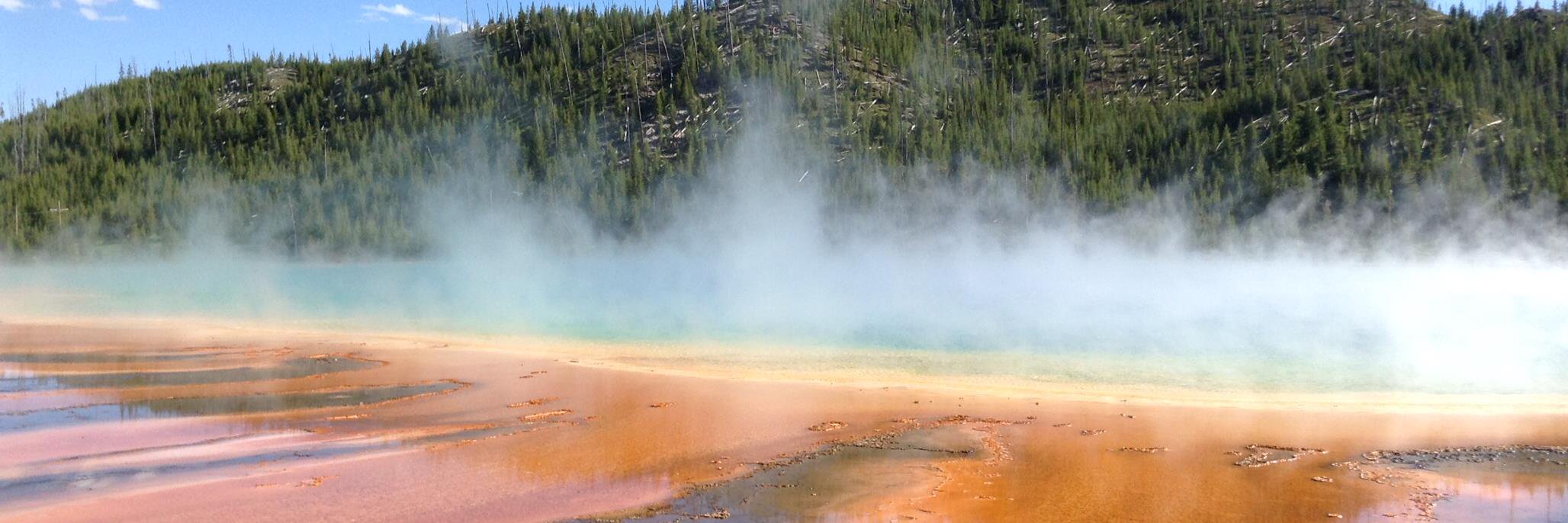 Jeanette K. Winters banner