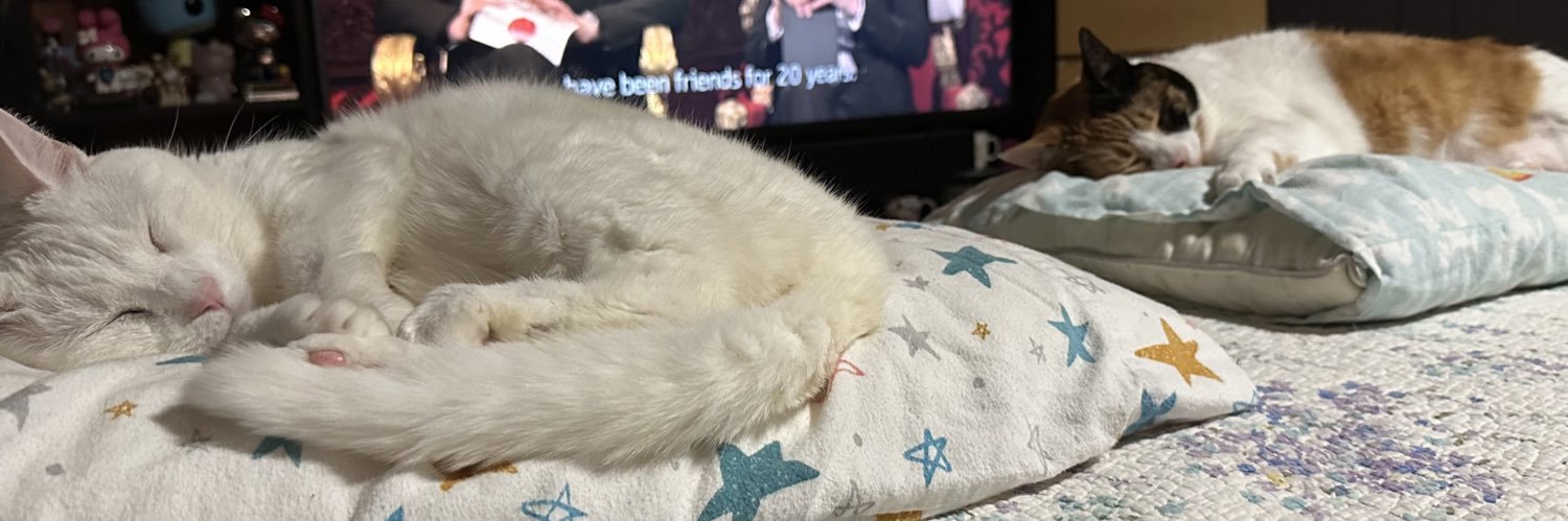 RobinSparkles76 🎈 banner