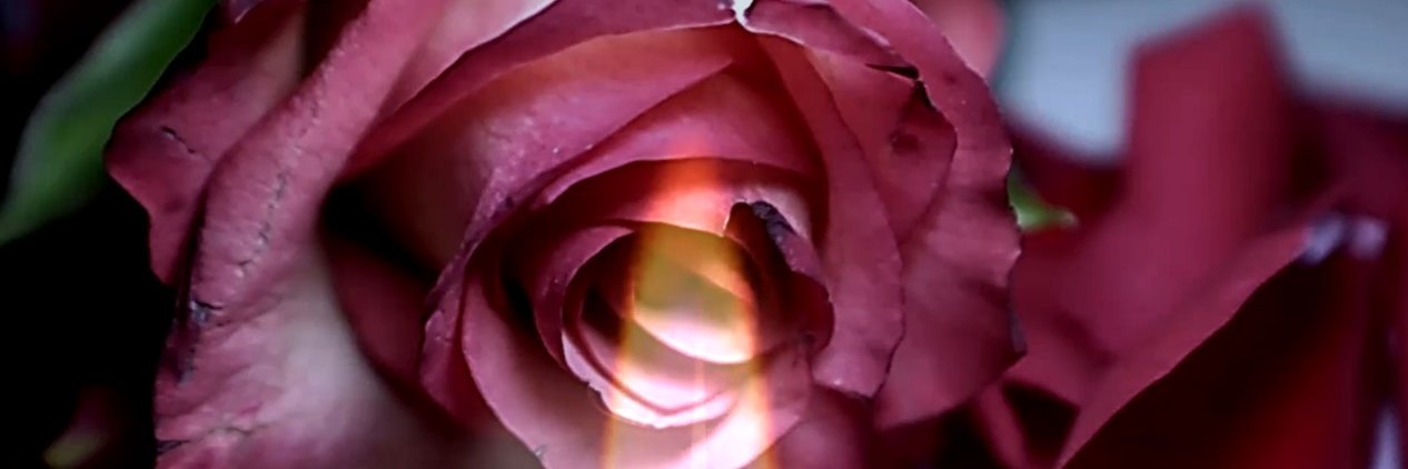 JuniZa 🇮🇩 banner