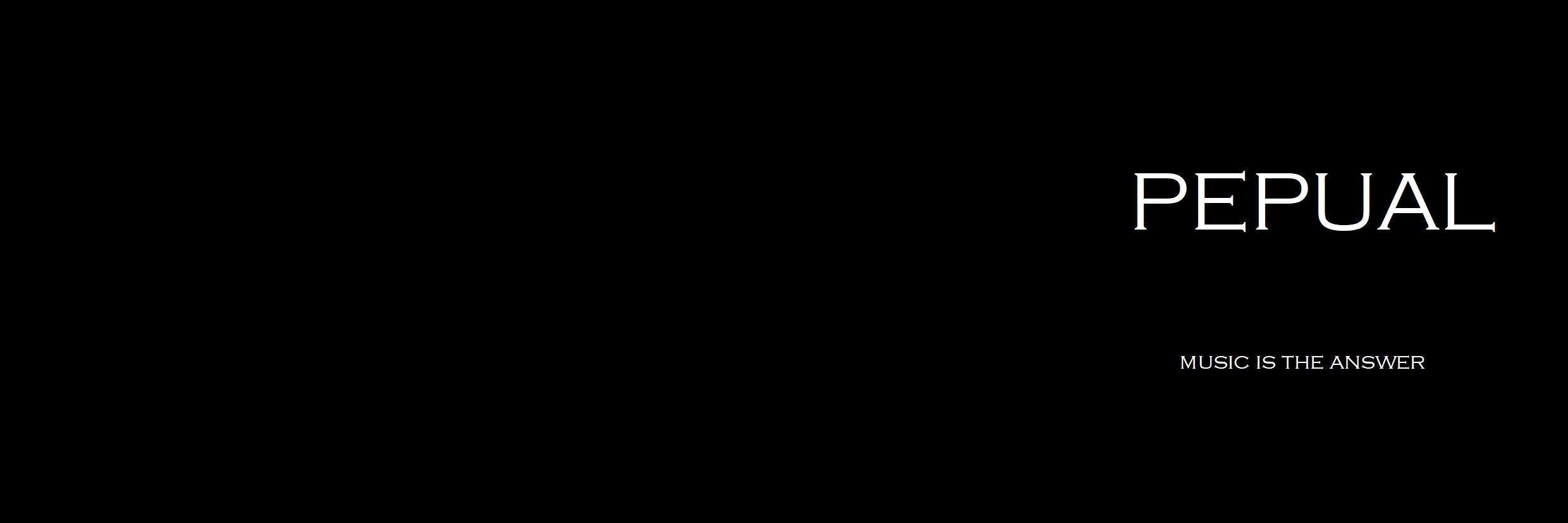 pepual's profile banner image