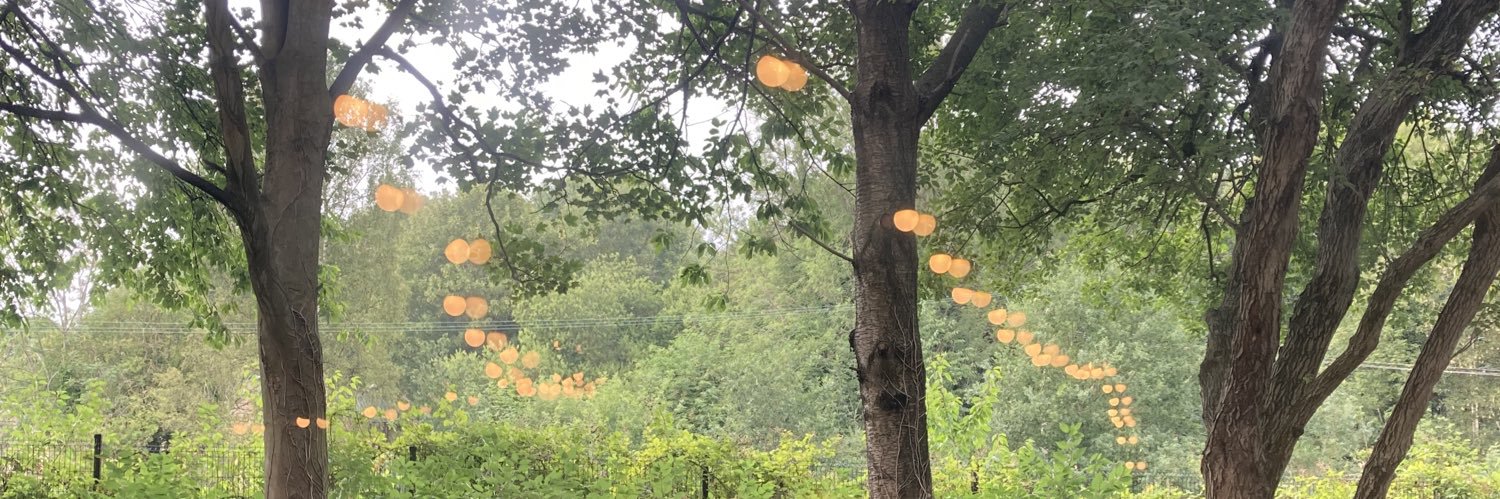 Joan is saying no thank you to all the nonsense banner