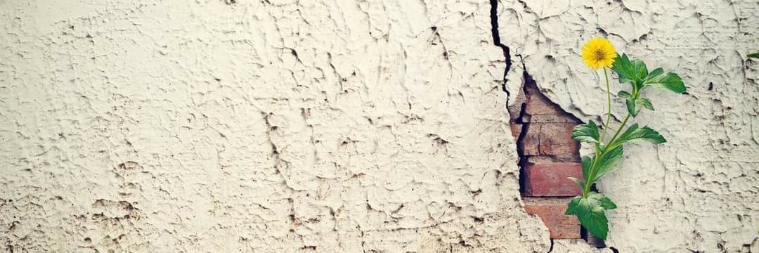 GameaNahla's profile banner image