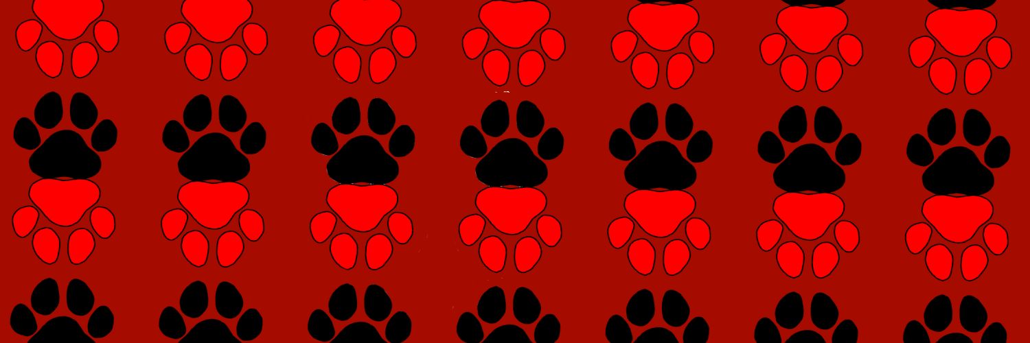 Castrathewolf6's profile banner image