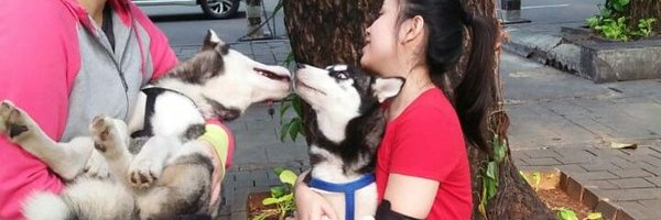 bendolganteng Profile Banner