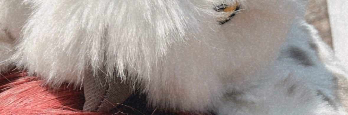 konpei7399's profile banner image