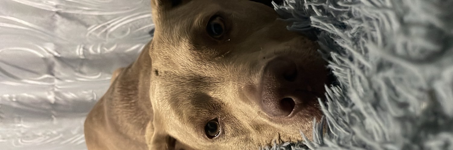 🧜 banner