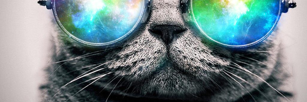 Ashypoooh's profile banner image
