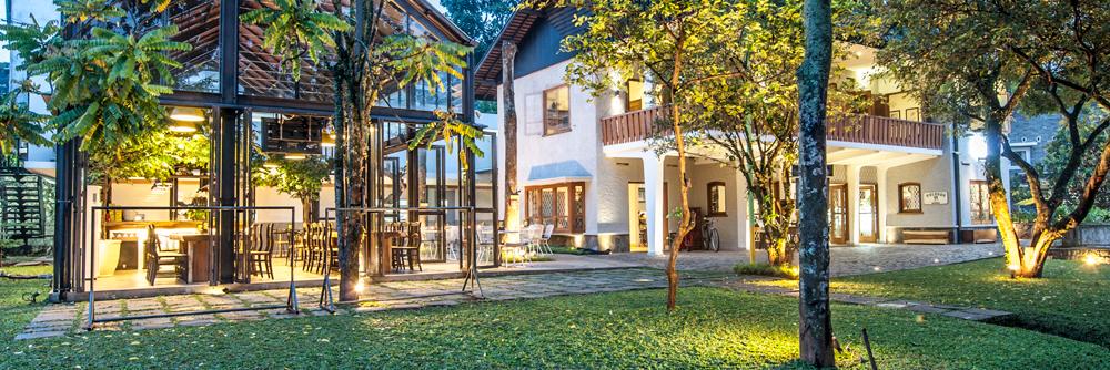 Miss Bee Providore banner