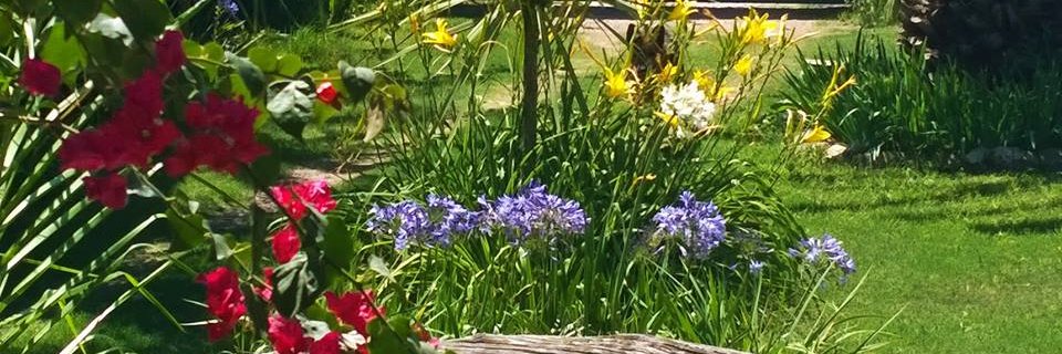 Sra. Arn 🇦🇷 banner