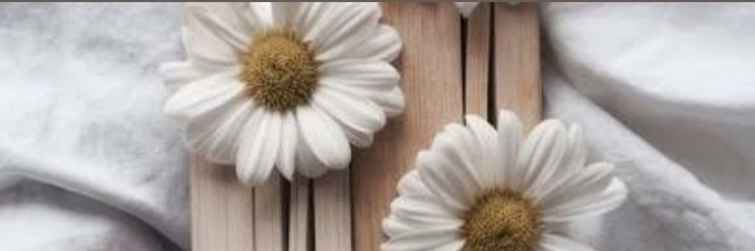 sule_epli's profile banner image