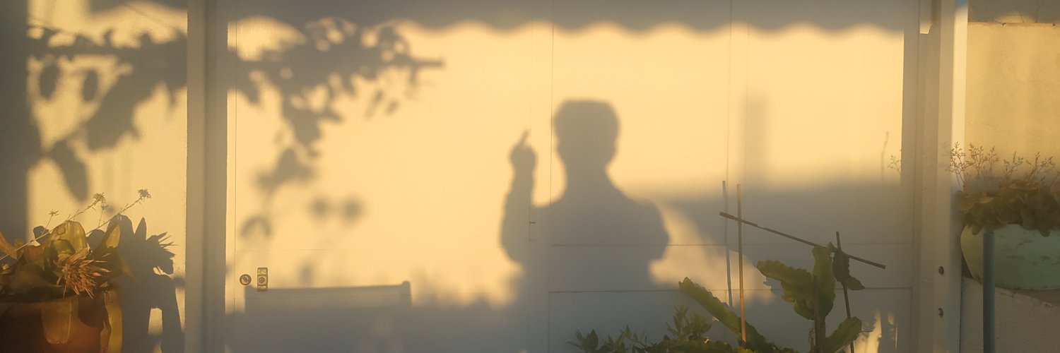 Víctor banner