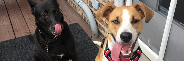 dspuhr Profile Banner