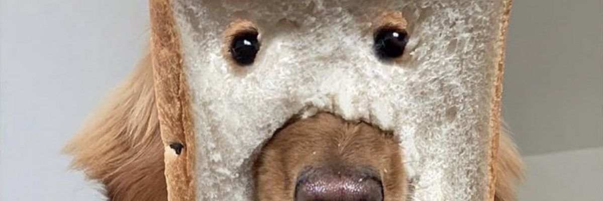 Marcorgl3151's profile banner image