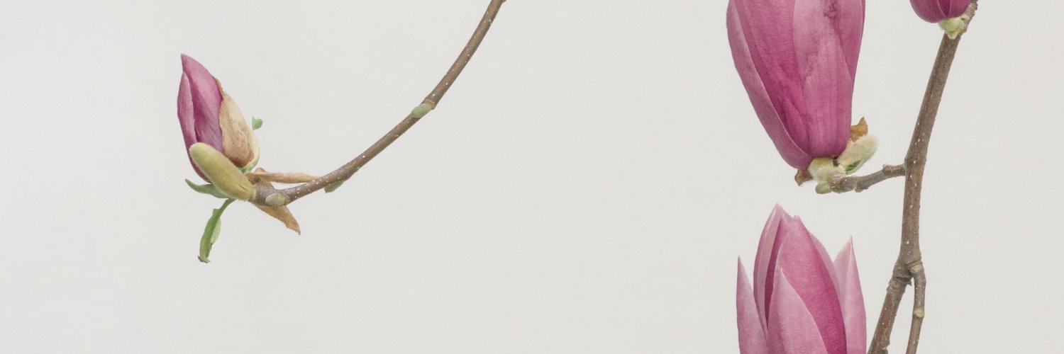 Queen ❤️ Memecoin banner