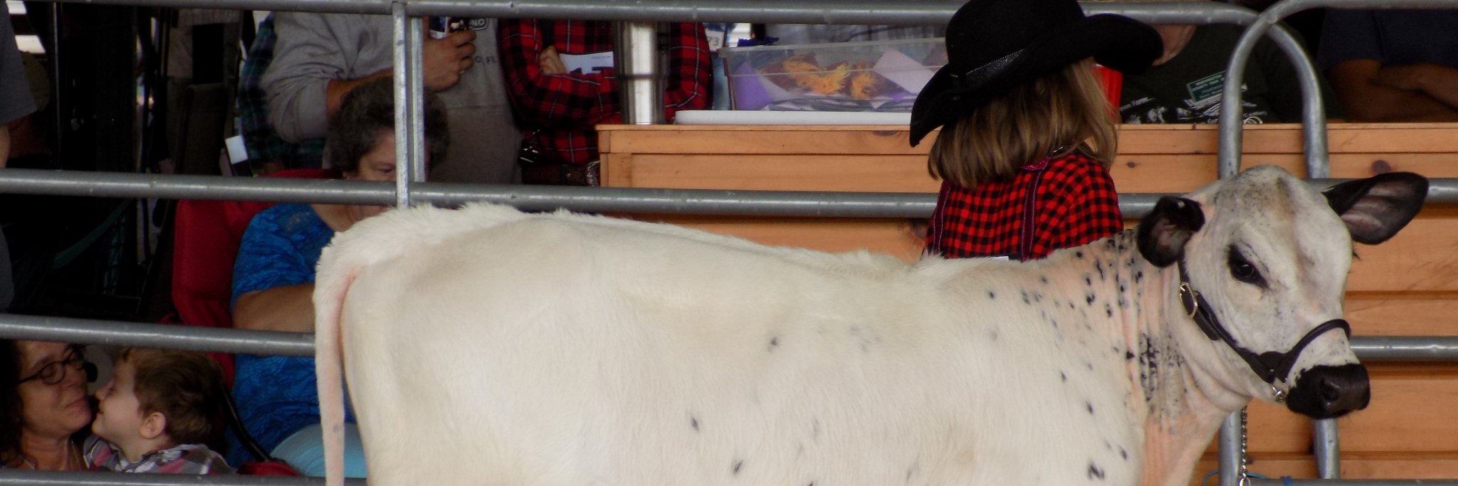 WashingtonCountyFairNY banner