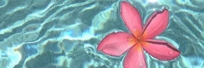 cazophyaa's profile banner image