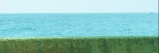 T_M_T_J's profile banner image