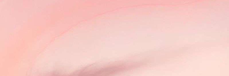 dalmoqbel_'s profile banner image
