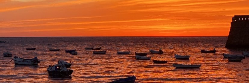 martateomar's profile banner image