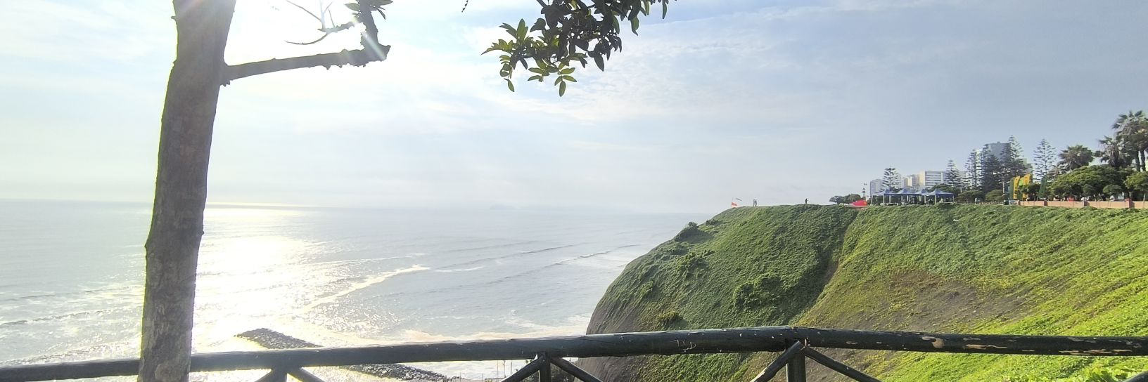 Mitsi Zuñiga Rojas banner