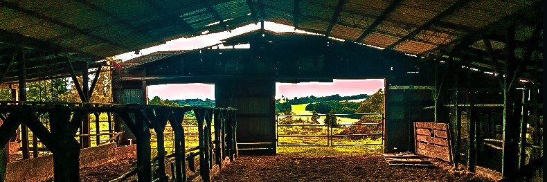 Coque Saelzer banner