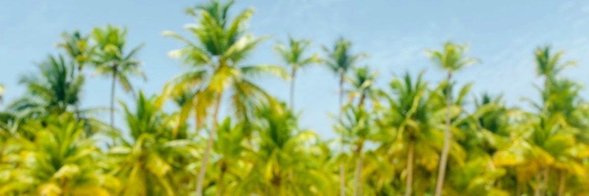 grace177's profile banner image