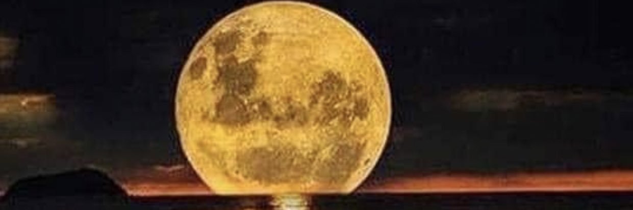 MoonHowler 2.0 🌹 🇺🇸 banner